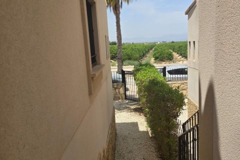Māja pārdošanā Algorfa, Alicante, Spānijā 3 istabas, 101 m2 Nr. 130669 - attēls 7
