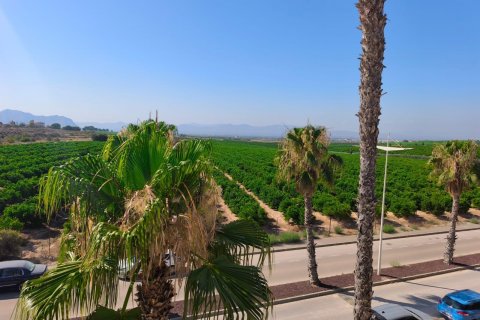 Māja pārdošanā Algorfa, Alicante, Spānijā 3 istabas, 101 m2 Nr. 130669 - attēls 25
