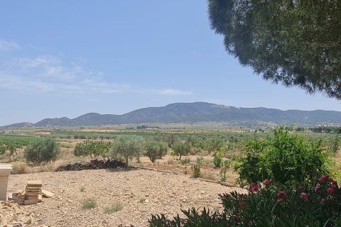 Villa en venta Chinorlet, Alicante, España 4 dormitorios, 250 m2 No. 125821 - foto 4