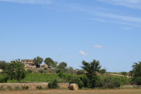 Villa zum Verkauf Manacor, Mallorca, Spanien 3 Schlafzimmer, 295 m2 Nr. 127066 - Foto 7