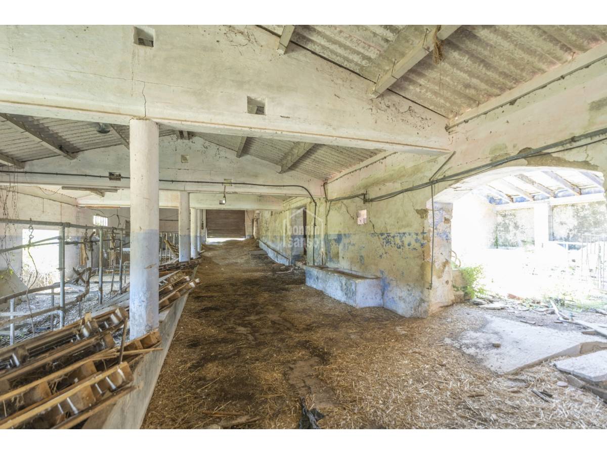 Hus i Es Mercadal, Menorca, Spanien 10 sovrum, 671 kvm. Nr. 127966