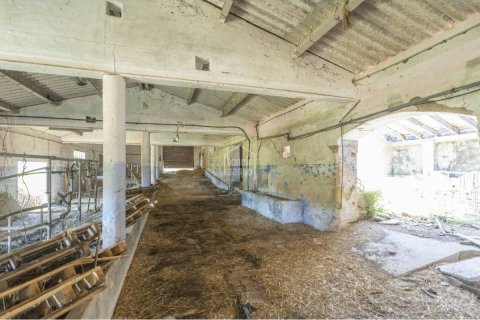 Casa in vendita a Es Mercadal, Menorca, Spagna 10 camere da letto, 671 mq. N° 127966 - foto 12