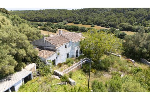 House for sale in Es Mercadal, Menorca, Spain 10 bedrooms, 671 sq.m. No. 127966 - photo 12