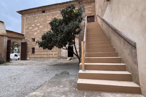 Działka Palma de Majorca, Mallorca, Hiszpania 7281 mkw. nr 128162 – zdjęcie 6
