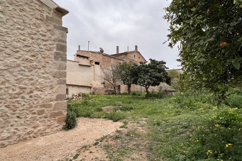 Działka Palma de Majorca, Mallorca, Hiszpania 7281 mkw. nr 128162 – zdjęcie 11