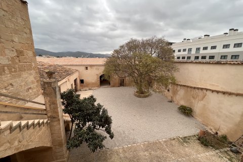 Działka Palma de Majorca, Mallorca, Hiszpania 7281 mkw. nr 128162 – zdjęcie 3