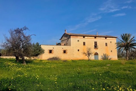 Działka Palma de Majorca, Mallorca, Hiszpania 7281 mkw. nr 128162 – zdjęcie 1