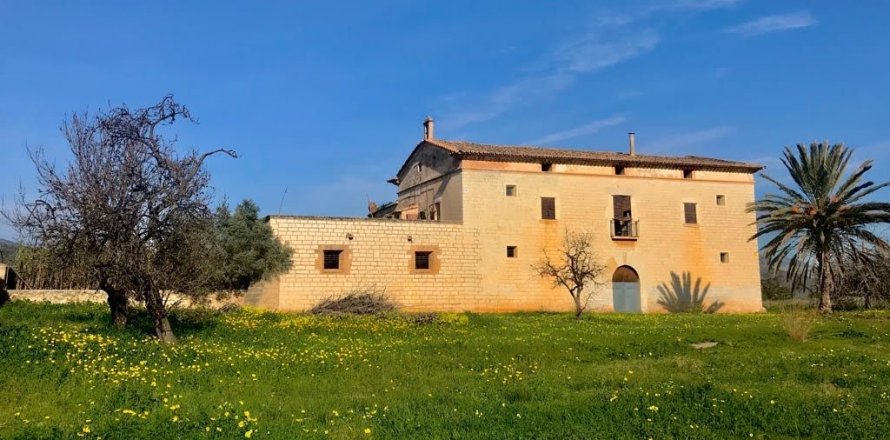 Działka Palma de Majorca, Mallorca, Hiszpania 7281 mkw. nr 128162