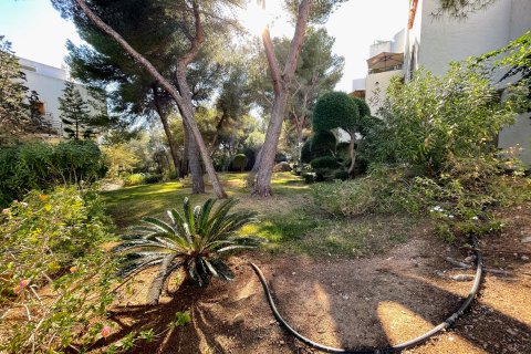 Villa for sale Sol De Mallorca, Mallorca, Spain 3 bedrooms, 170 sq.m. No. 128192 - photo 10