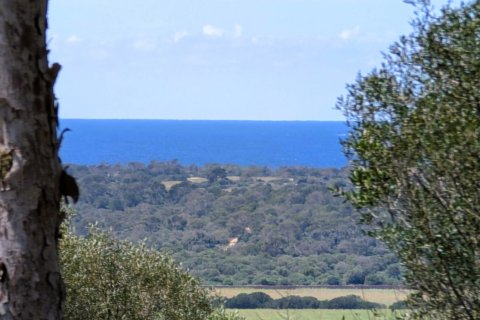 Land plot à vendre Ses Salines, Mallorca, Espagne, 19178 m2 No. 128193 - photo 1