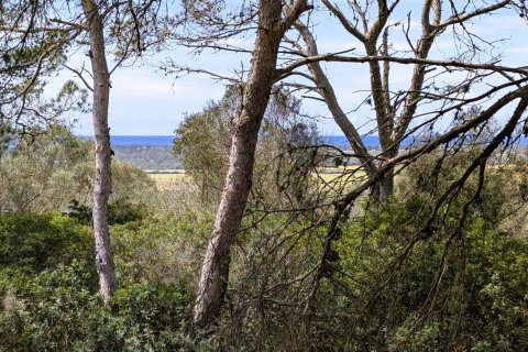 Land plot à vendre Ses Salines, Mallorca, Espagne, 19178 m2 No. 128193 - photo 4