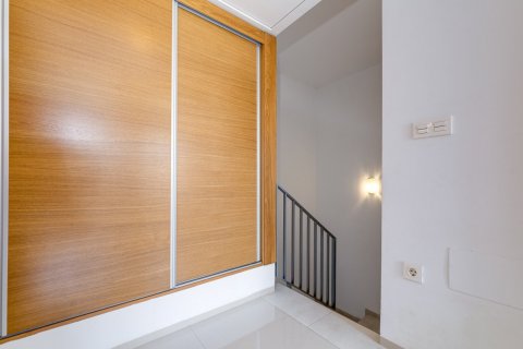 Rindu māja pārdošanā Torrevieja, Alicante, Spānijā 3 istabas, 75 m2 Nr. 129652 - attēls 16
