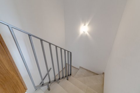 Rindu māja pārdošanā Torrevieja, Alicante, Spānijā 3 istabas, 75 m2 Nr. 129652 - attēls 15