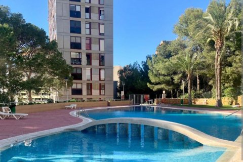 Apartment à vendre Benidorm, Alicante, Espagne, 2 chambres, 55 m2 No. 130236 - photo 1