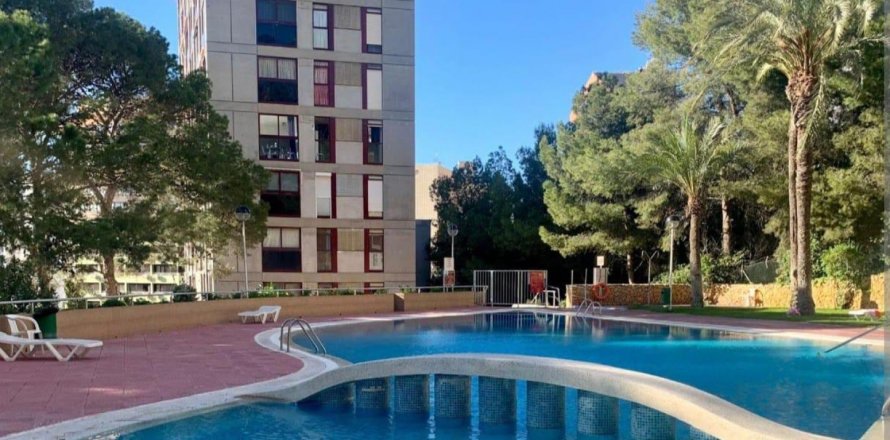 Apartment Benidorm, Alicante, Espagne 2 chambres, 55 m2 No. 130236