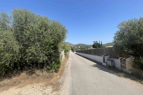 Land plot for sale Son Servera, Mallorca, Spain 734 sq.m. No. 130989 - photo 3
