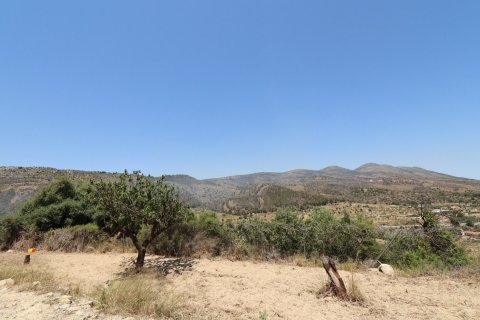 Finca for sale Benissa, Alicante, Spain 9 bedrooms, 487 sq.m. No. 125648 - photo 13