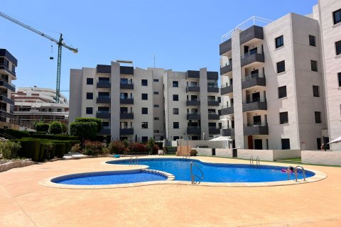 Commercial property à vendre San Miguel de Salinas, Alicante, Espagne, 2 chambres, 70 m2 No. 125786 - photo 1