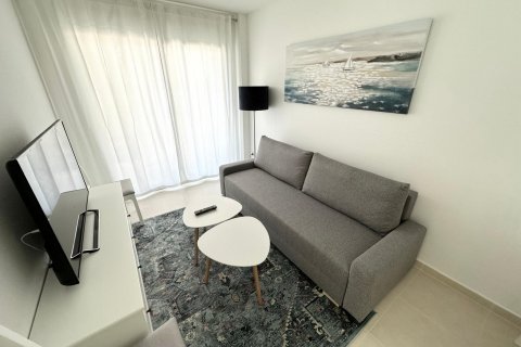 Apartament Torrevieja, Alicante, Hiszpania 1 sypialnia, 45 mkw. nr 127340 – zdjęcie 14