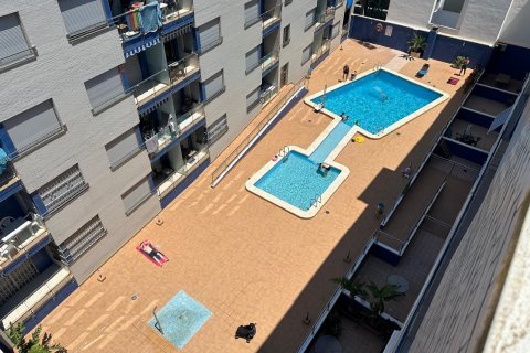 Apartament Torrevieja, Alicante, Hiszpania 1 sypialnia, 45 mkw. nr 127340 – zdjęcie 6