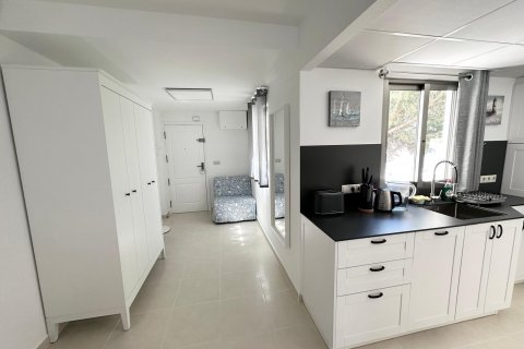 Apartament Torrevieja, Alicante, Hiszpania 1 sypialnia, 45 mkw. nr 127340 – zdjęcie 18