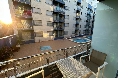 Apartament Torrevieja, Alicante, Hiszpania 1 sypialnia, 45 mkw. nr 127340 – zdjęcie 7