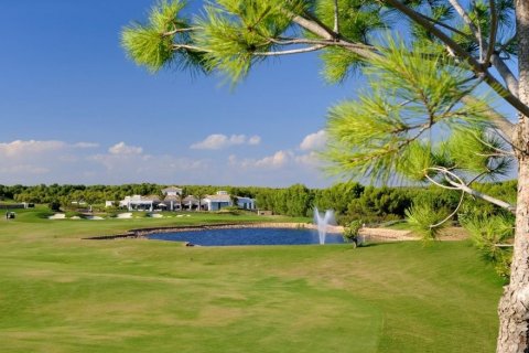 Apartment for sale Dehesa De Campoamor, Alicante, Spain 2 bedrooms, 122 sq.m. No. 120016 - photo 18