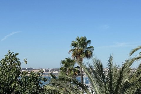 Apartamento en venta Torrevieja, Alicante, España 3 dormitorios, 137 m2 No. 131504 - foto 11