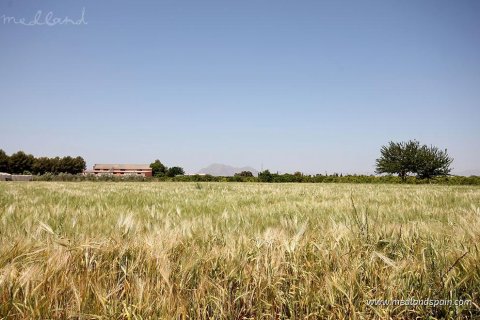 Villa for sale Benijofar, Alicante, Spain 3 bedrooms, 107 sq.m. No. 130206 - photo 7