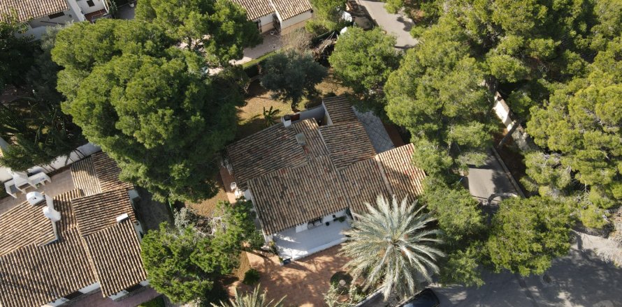 Villa Punta Prima, Alicante, Spagna 4 camere da letto, 150 mq. N° 125144