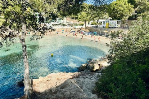 Apartamento en alquiler Portals Nous, Mallorca, España 3 dormitorios, 67 m2 No. 128278 - foto 1