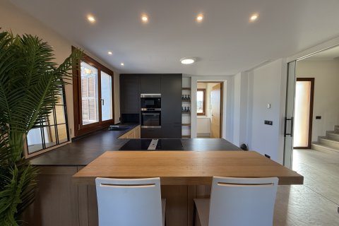 Finca for rent Port De Pollenca, Mallorca, Spain 3 bedrooms, 393 sq.m. No. 128277 - photo 11