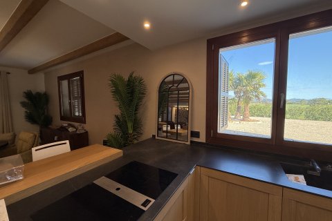 Finca for rent Port De Pollenca, Mallorca, Spain 3 bedrooms, 393 sq.m. No. 128277 - photo 14