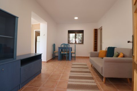 Finca myytävänä Catral, Alicante, Espanja, 7 makuuhuonetta, 396 m2 No. 125813 - kuva 28