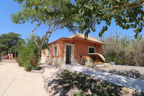 Finca myytävänä Catral, Alicante, Espanja, 7 makuuhuonetta, 396 m2 No. 125813 - kuva 26