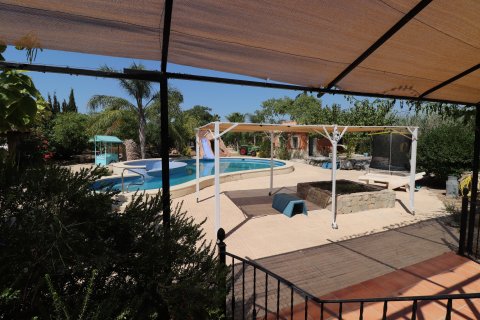 Finca myytävänä Catral, Alicante, Espanja, 7 makuuhuonetta, 396 m2 No. 125813 - kuva 25