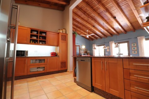 Finca myytävänä Catral, Alicante, Espanja, 7 makuuhuonetta, 396 m2 No. 125813 - kuva 10