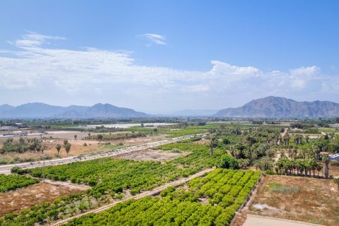 Dzīvoklis pārdošanā Jacarilla, Alicante, Spānijā 3 istabas, 74 m2 Nr. 131506 - attēls 26