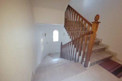 Huvila myytävänä Ciudad Quesada, Alicante, Espanja, 5 makuuhuonetta, 400 m2 No. 128930 - kuva 17