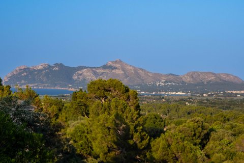 Villa à vendre Pollenca, Mallorca, Espagne, 6 chambres, 700 m2 No. 128253 - photo 7