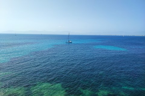 Apartment for sale Cala Blava, Mallorca, Spain 1 bedroom, 56 sq.m. No. 128250 - photo 16