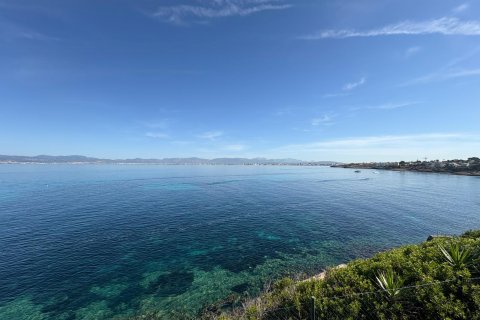 Apartment for sale Cala Blava, Mallorca, Spain 1 bedroom, 56 sq.m. No. 128250 - photo 14