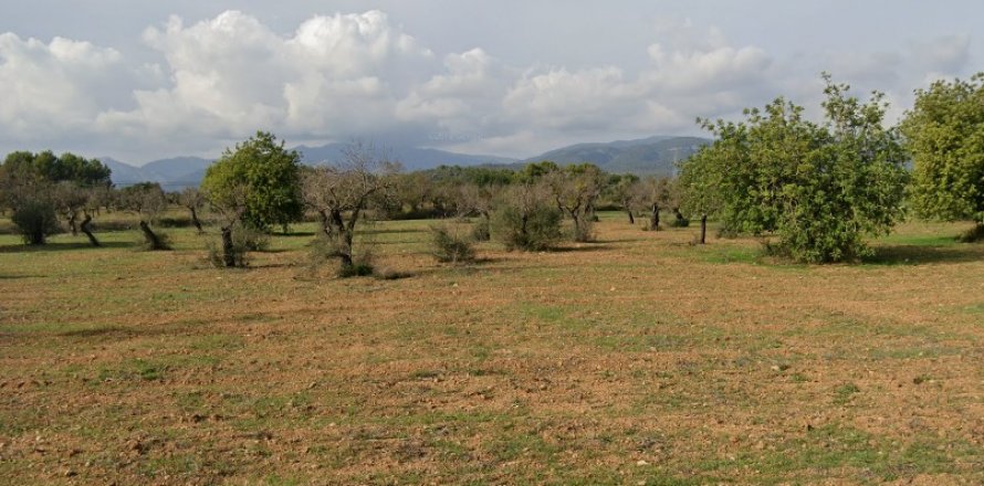 Zemes gabals Llucmajor, Mallorca, Spānijā 14878 m2 Nr. 128252