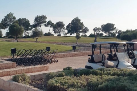 Villa in vendita Marratxinet (Marratxi), Mallorca, Spagna 4 camere da letto, 160 mq. N° 128285 - foto 22