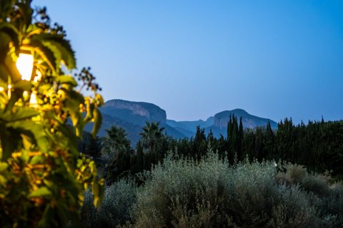 Finca myytävänä Alaro, Mallorca, Espanja, 4 makuuhuonetta, 520 m2 No. 128258 - kuva 26