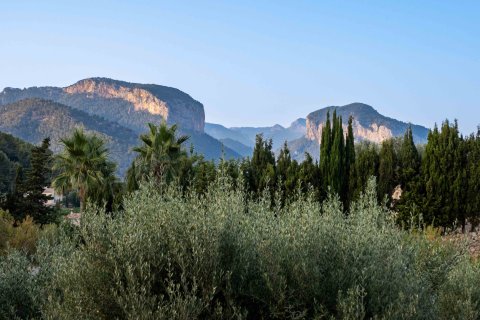 Finca myytävänä Alaro, Mallorca, Espanja, 4 makuuhuonetta, 520 m2 No. 128258 - kuva 24