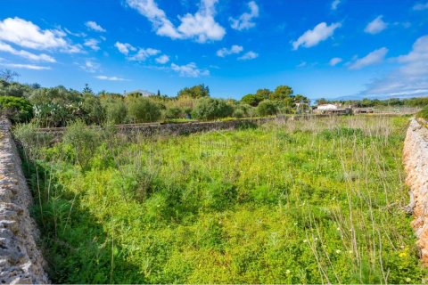 Land plot for sale Sant Lluis, Menorca, Spain 36 sq.m. No. 127934 - photo 13