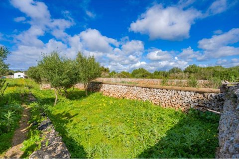 Land plot for sale Sant Lluis, Menorca, Spain 36 sq.m. No. 127934 - photo 11