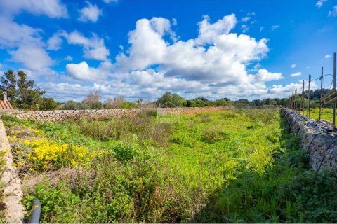 Land plot for sale Sant Lluis, Menorca, Spain 36 sq.m. No. 127934 - photo 3