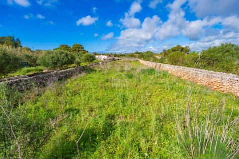 Land plot for sale Sant Lluis, Menorca, Spain 36 sq.m. No. 127934 - photo 12